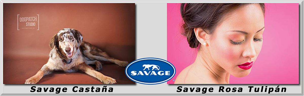 Savage Castaña y Rosa Tulipan Fondo Fotografía