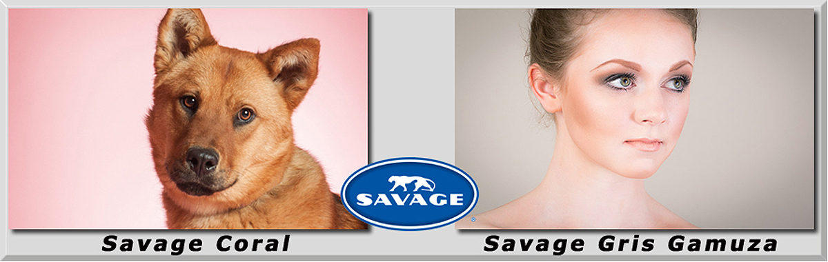 Savage coral y gris gamuza Savage coral y gris gamuza Fondo Fotografía