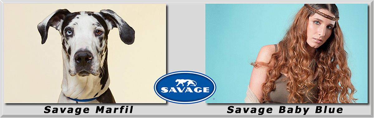Savage Marfil y Baby Blue Fondo Fotografía
